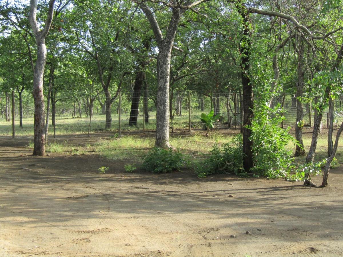 Pafuri Gate Guesthouse Mabalingwe Game Reserve Eksteriør billede